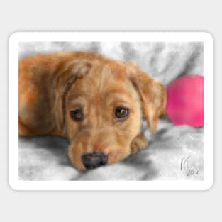 Sweet Golden Retriever Puppy Sticker